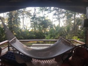 Hammock in middle-center, a tropical forest behind it